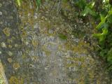 image of grave number 950723